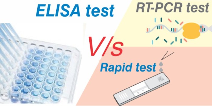 為什么 ELISA 檢測優(yōu)于快速檢測或 RT-PCR 檢測