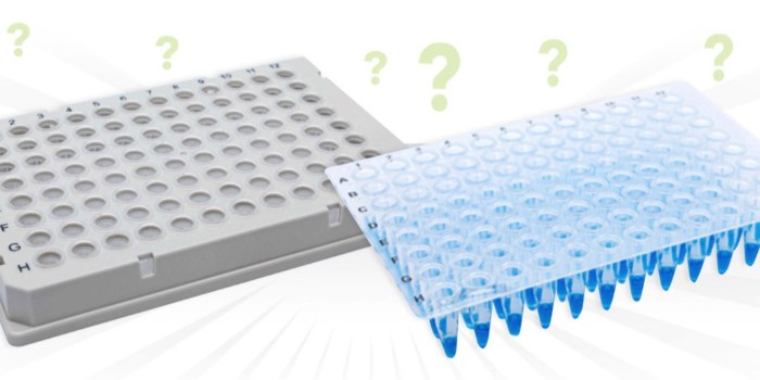 PCR 和 qPCR 有什么區(qū)別？