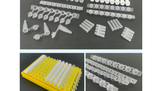 PCR 管：單管、4 排管與 8 排管的特點(diǎn)與應(yīng)用